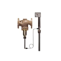 Thermostatic Valve for Steam and Hot Water Application gallery image 1