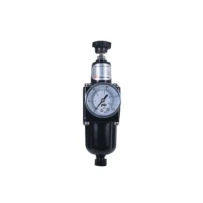 TORK-FR100 Filtre Regülatör gallery image 1