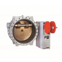 TORK-CK 4010 Serisi Çift Flanşlı Çek Valf gallery image 1