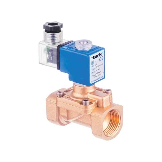 S2020 and S2021 Steam Solenoid Valve gallery image 1